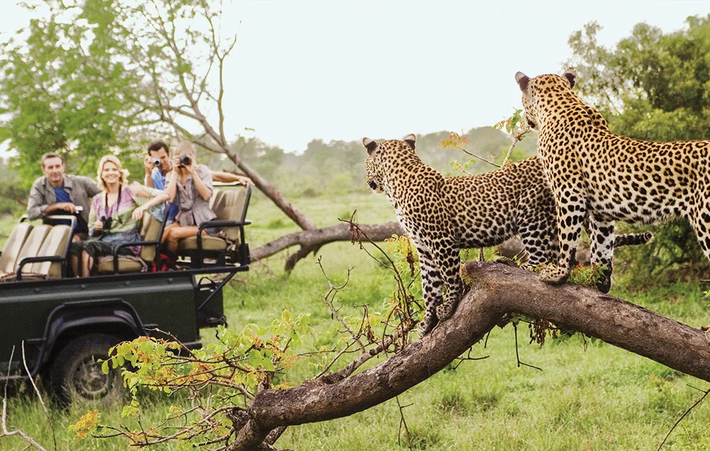 group travel south Africa